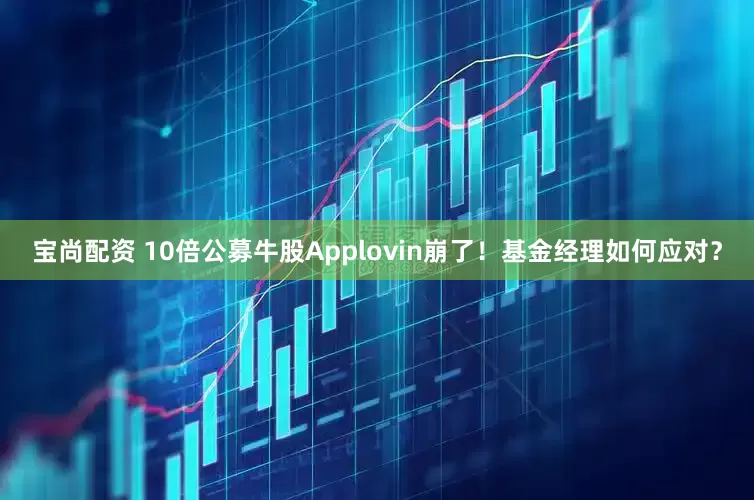 宝尚配资 10倍公募牛股Applovin崩了！基金经理如何应对？